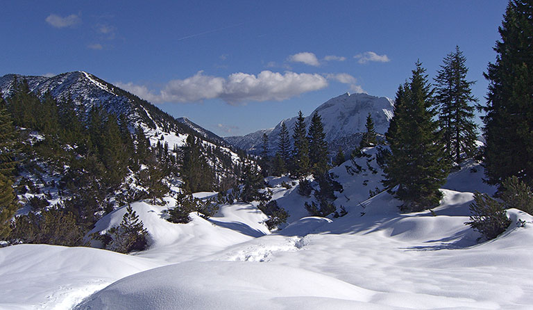 Schildenstein (1613 m) als Skitour