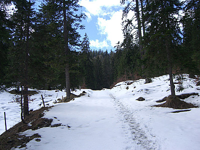 Nach dem ersten Aufschwung...