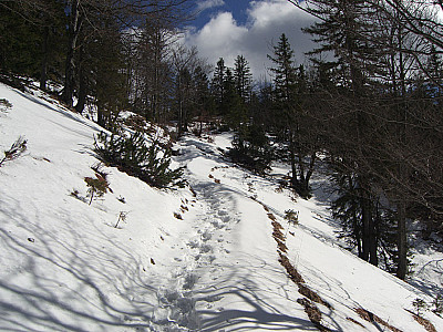 Nach der Königsalm geht es zügig und...