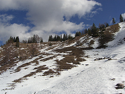 Hier hat die Sonne ganze Arbeit geleistet