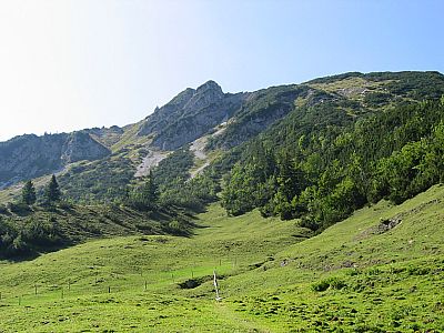 Hinten der Österreichische Schinder