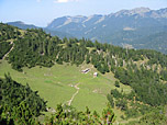 Blick zurück zur Trausnitzalm