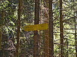 ...und erreichen den Gipfelweg zum Rohnberg