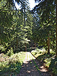 Ein Karrenweg leitet uns steil hinunter....