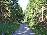 ...zum Querweg