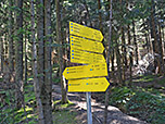 Wir schlagen nun den Weg zur Schliersbergalm ein