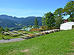 ...und nähern uns der Schliersbergalm