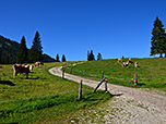 Wir spazieren links an der Alm vorbei...