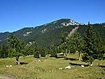 Blick zur Halserspitz