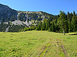 Der Wiesenweg...
