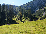 ...führt uns zum Waldrand