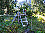 Übertritt am Waldrand