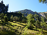 Der Waldpfad bringt uns...