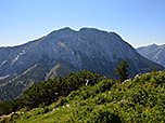 Der Guffert