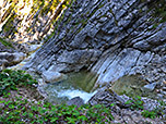 Durch Gumpen und über kleine Wasserfälle bahnt sich der Ampelsbach seinen Weg