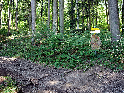 Hier halten wir uns links nach Norden