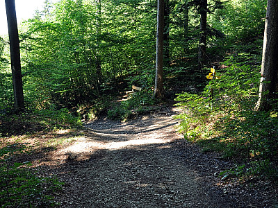... und kommen hier wieder links auf den Aufstiegsweg.
