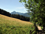 Der Ausblick nach Süden zum Faistenauer Schafberg