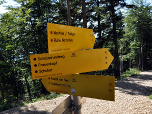 An der Forststraße halten wir uns rechts, ...