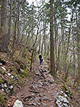 ...und folgen dem Waldpfad...