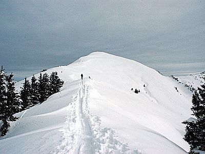 Im Hintergrund ist das