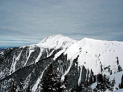 Links der Schafreuter