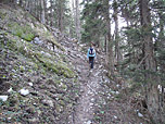 Durch ein Waldstück gewinnen wir weiter an Höhe