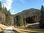 ...und sonnenverwöhnten Weg