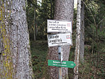 Wegweiser im ersten Waldabschitt