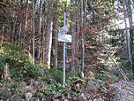 ...befinden wir uns wieder in schattigem Wald
