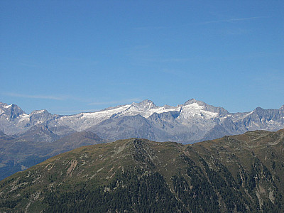 ...und zu den Zillertalern