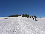 Am breiten Rücken