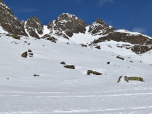 Die Schöntalspitze rückt näher