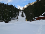 Hinter der Hütte steigen wir in einer Schneise ins Längental auf