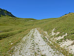 Über einen Karrenweg...