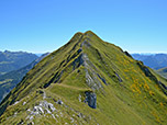 Vor uns der Gipfel der Schreckenspitze
