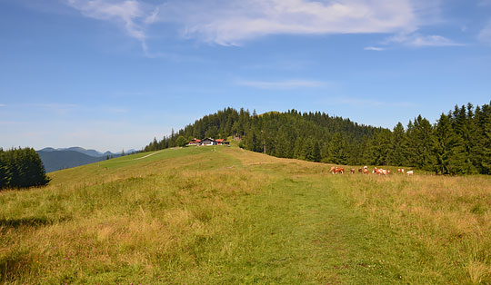 Schwarzenberg