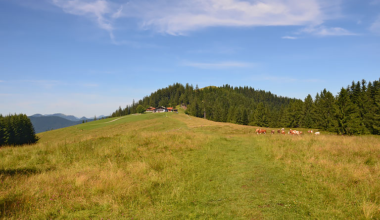 Schwarzenberg (1187 m) ab Hundham via Tregleralm und Deisenried
