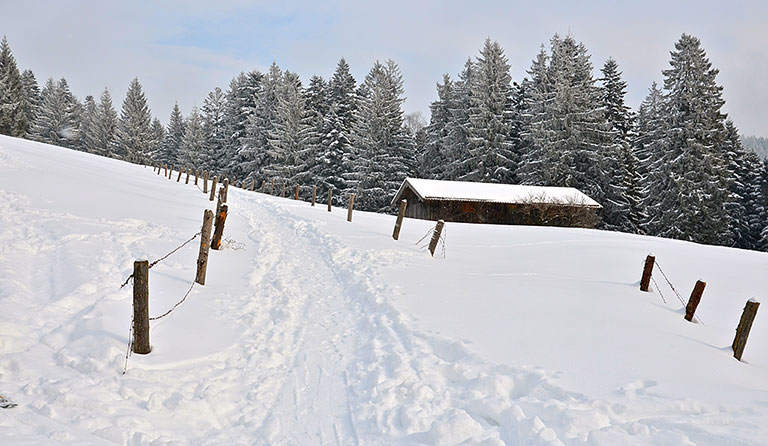 Schwarzenberg (1187 m) als Skitour