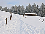 ...und biegen noch vor dieser Holzhütte...