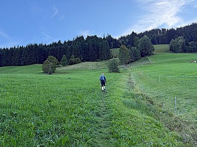Über einen Wiesenhang gewinnen wir die ersten Höhenmeter