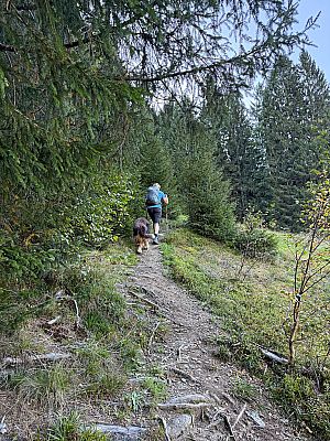 Wenig später lassen wir die Bäume wieder hinter uns