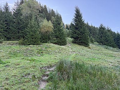 Wir erreichen eine Weide...