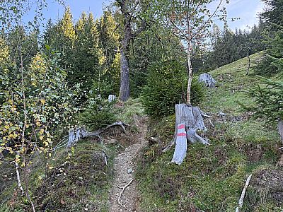 ...und wandern weiter steil bergauf