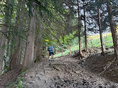 ...erreichen wir ein nächstes Waldstück