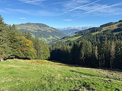 Mit Blick aufs Kaisergebirge...