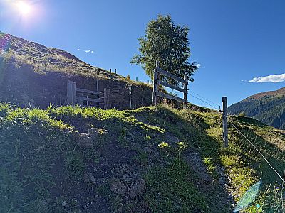 An der Alm überqueren wir einen Karrenweg...