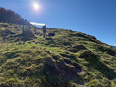 ...und setzen unseren Anstieg über das Wiesengelände fort