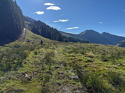 ...und wir treffen auf einen Karrenweg