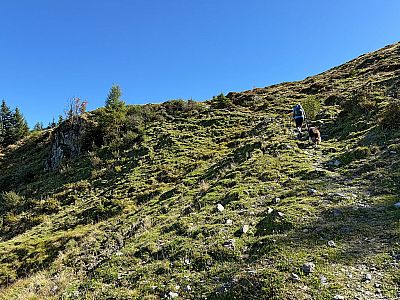 ...geht es weiter im Wiesengelände bergauf